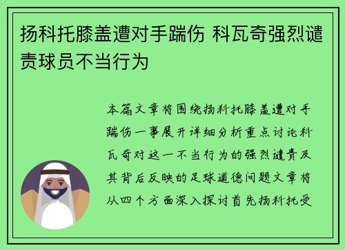扬科托膝盖遭对手踹伤 科瓦奇强烈谴责球员不当行为